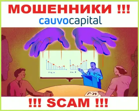 Весьма опасно соглашаться работать с internet-мошенниками Cauvo Capital, украдут депозиты