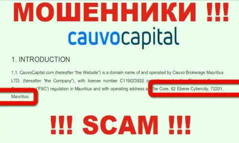 Нереально забрать вложенные деньги у организации Cauvo Capital - они прячутся в оффшорной зоне по адресу - Коре, 62 Эбене Киберсити, 72201, Маврикий