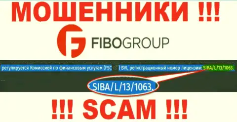 Имейте в виду, FiboGroup - это настоящие мошенники, а лицензии на осуществление деятельности у них на интернет-ресурсе это только лишь прикрытие
