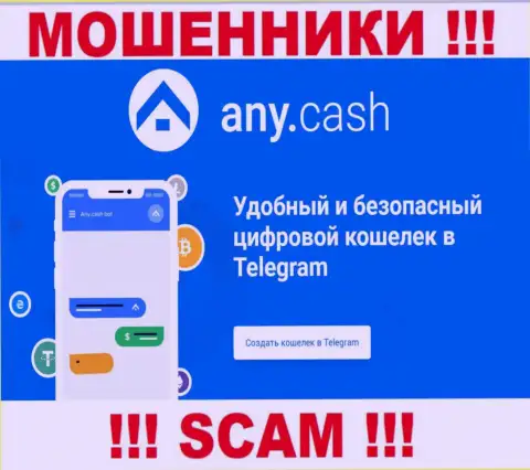 Any Cash - это internet-махинаторы, их работа - Крипто кошелёк, направлена на грабеж денег доверчивых людей
