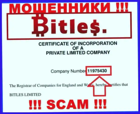 Регистрационный номер мошенников Битлес, с которыми довольно рискованно совместно работать - 11975430