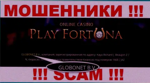 Сведения о юридическом лице Play Fortuna, ими оказалась контора GLOBONET B.V.