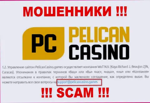 Ни за что не рекомендуем отправлять письмо на электронную почту мошенников PelicanCasino Games - разведут моментально