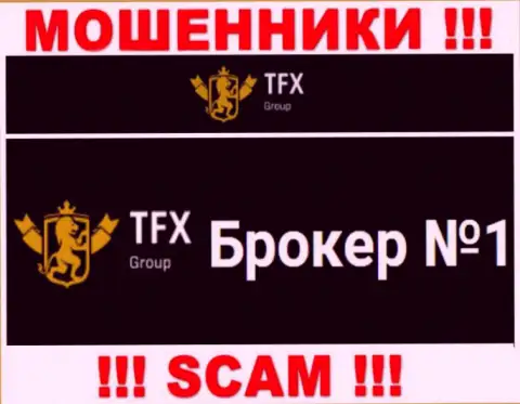 Не стоит доверять вложенные денежные средства TFX Group, т.к. их направление деятельности, ФОРЕКС, ловушка