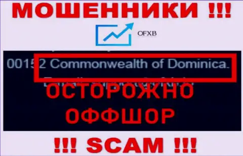 Donnybrook Consulting Ltd специально скрываются в офшорной зоне на территории Dominica, интернет-мошенники