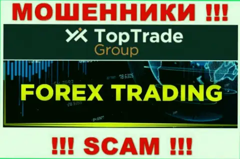 Top Trade Group - это internet обманщики, их деятельность - Forex, нацелена на прикарманивание вкладов доверчивых людей