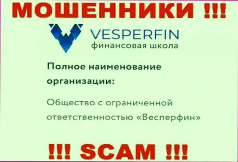 Информация про юридическое лицо internet-разводил VesperFin Com - ООО Весперфин, не спасет вас от их грязных лап