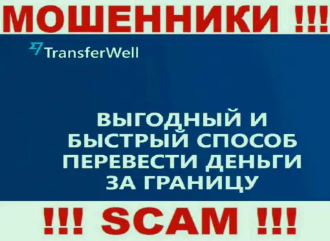 Не верьте, что работа TransferWell Net в сфере Платежная система легальная