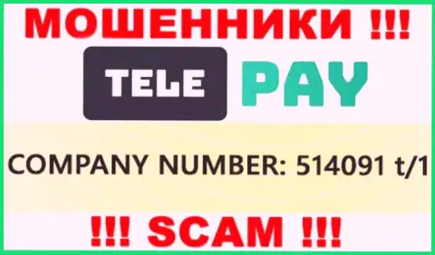 Рег. номер ТелеПэй, который предоставлен мошенниками на их сайте: 514091 t/1