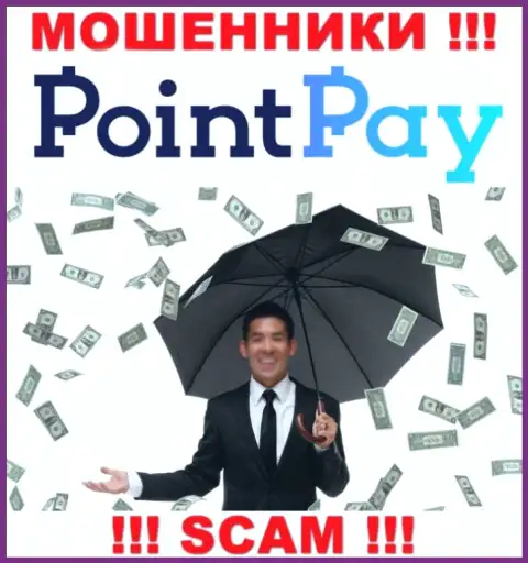 Не угодите в загребущие лапы internet мошенников Point Pay LLC, вклады не заберете назад