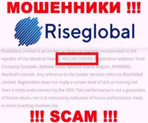 Регистрационный номер Rise Global, который мошенники представили на своей internet странице: 103595