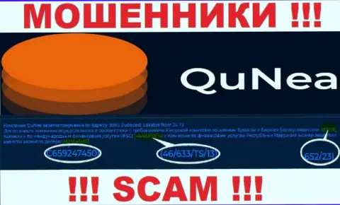 Разводилы QuNea не скрывают лицензию на осуществление деятельности, опубликовав ее на веб-сервисе, однако будьте очень осторожны !!!