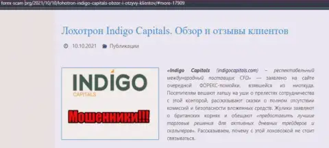 Обзор Indigo Capitals, реальные примеры грабежа