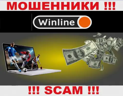 Будьте очень бдительны !!! WinLine - это явно internet разводилы ! Их деятельность противоправна