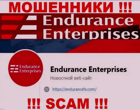 Связаться с мошенниками из конторы EnduranceFX Com Вы сможете, если напишите сообщение им на электронный адрес