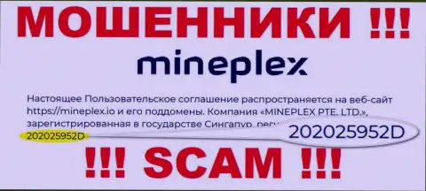 Номер регистрации еще одной преступно действующей компании MinePlex - 202025952D