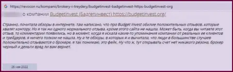 Автор достоверного отзыва сообщает, что Budget Invest - это ЖУЛИКИ !!! Связываться с которыми крайне рискованно