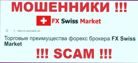 Направление деятельности FX-SwissMarket Com: Форекс - отличный доход для лохотронщиков