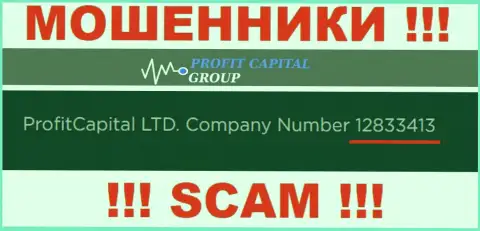 Номер регистрации ПрофитКапиталГрупп, который показан мошенниками на их сайте: 12833413