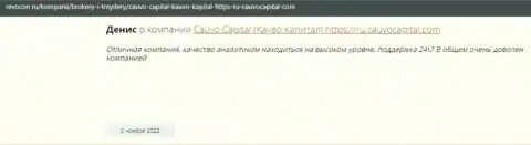 Дилинговая организация CauvoCapital описана в отзыве на сайте revocon ru